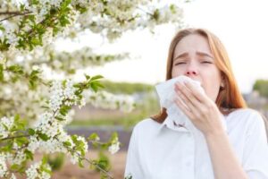 Hay Fever (Allergic Rhinitis)